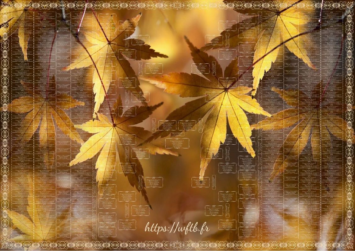 artistic-family-tree-autumn-leaves