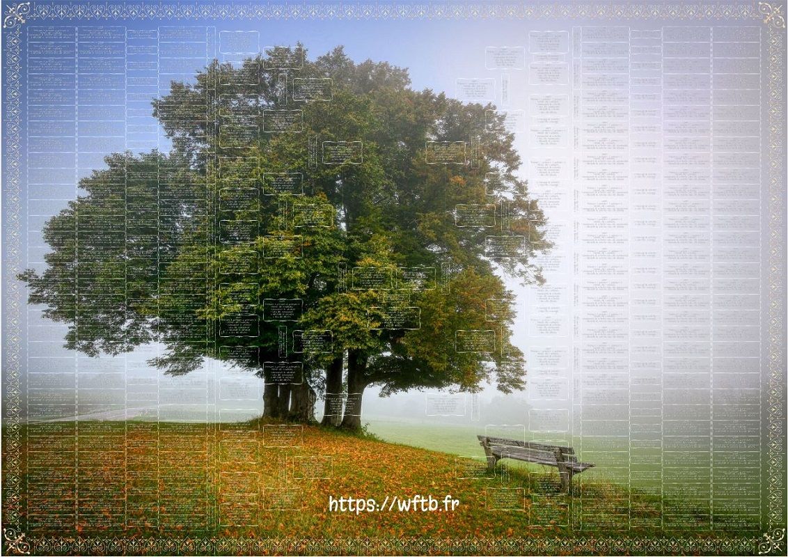 artistic-family-tree-tree-bench