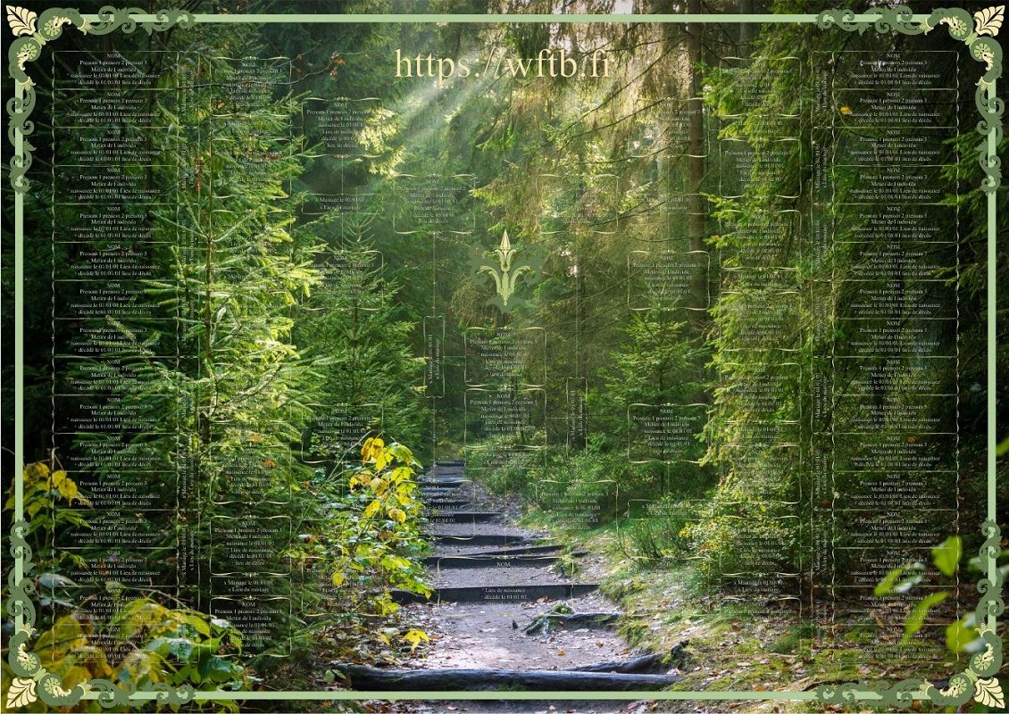 artistic-genealogical-tree-forest-path