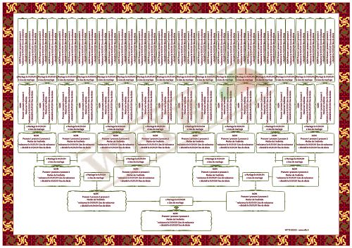 6-generations-slim-tree-chart-porfolio-en