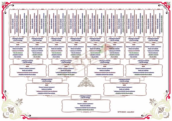 arbre-genealogique-slim