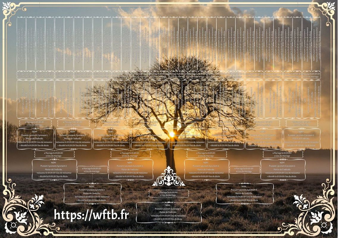 arbre genealogique artistique nuages coucher soleil