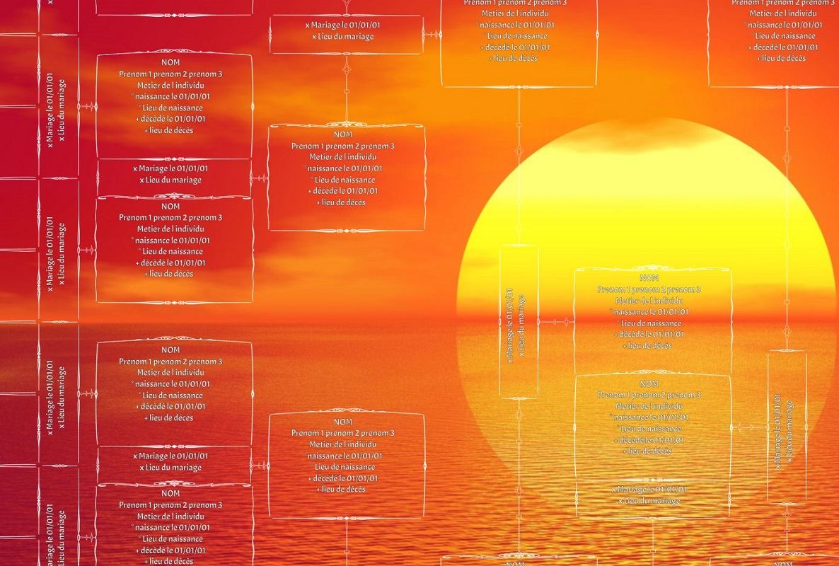 arbre genealogique coucher soleil rouge