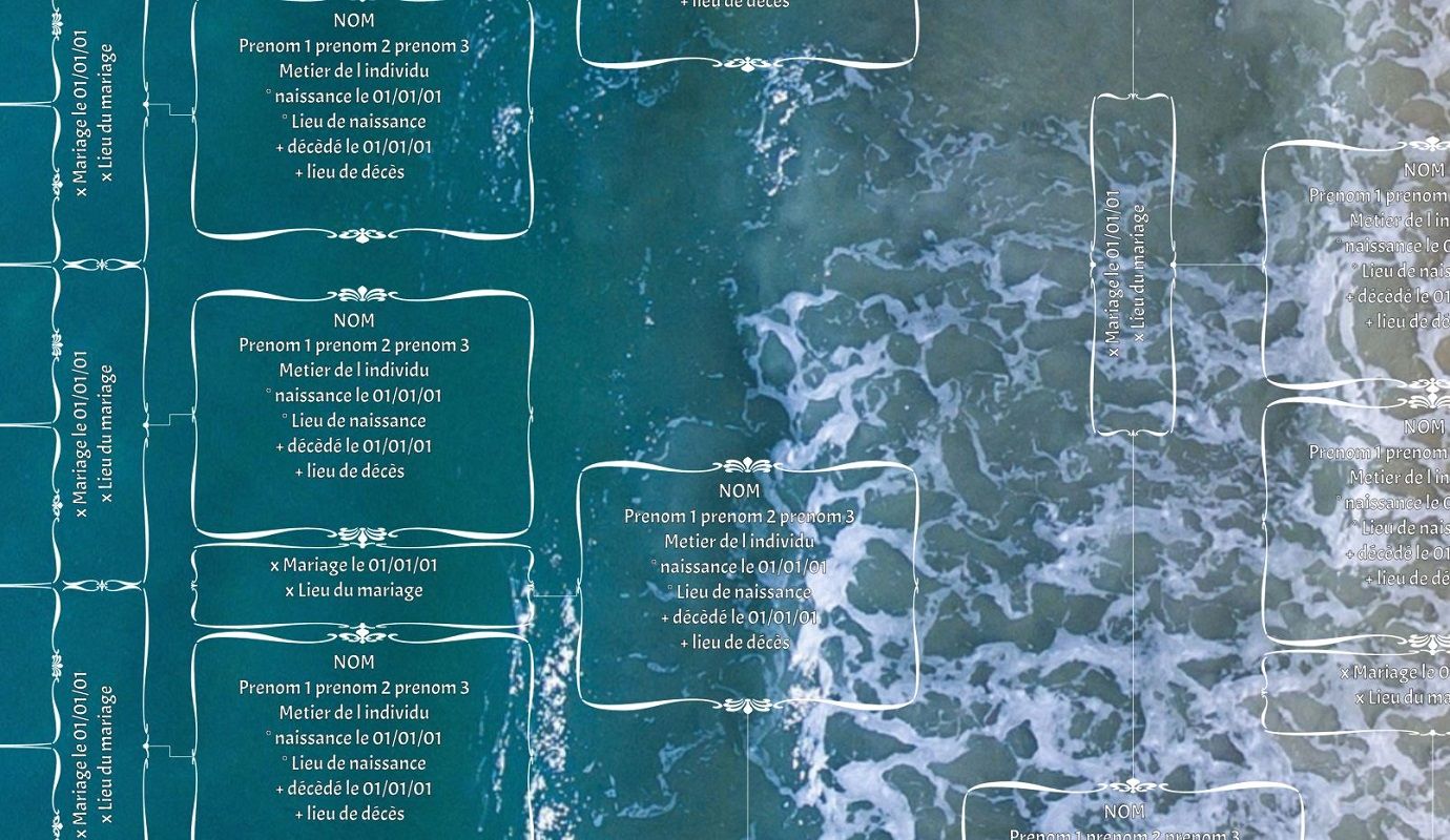 arbre genealogique artistique mer plage