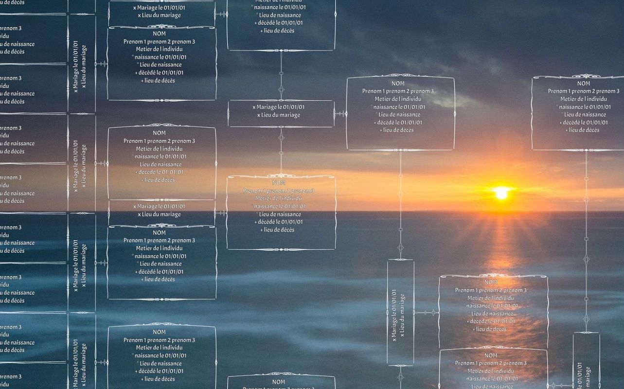 arbre genealogique artistique rocher face coucher soleil