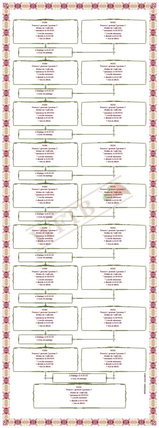 arbre-genealogique-agnatique-10-generations-carousel-1