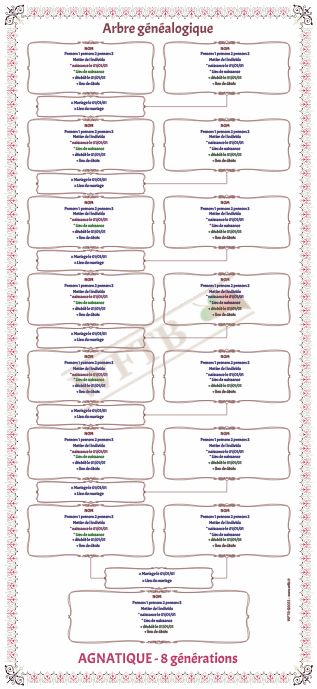 arbre-genealogique-agnatique-8-generations