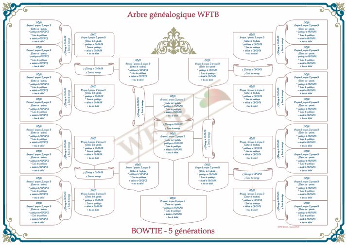 arbre-genealogique-bowtie-5-generations