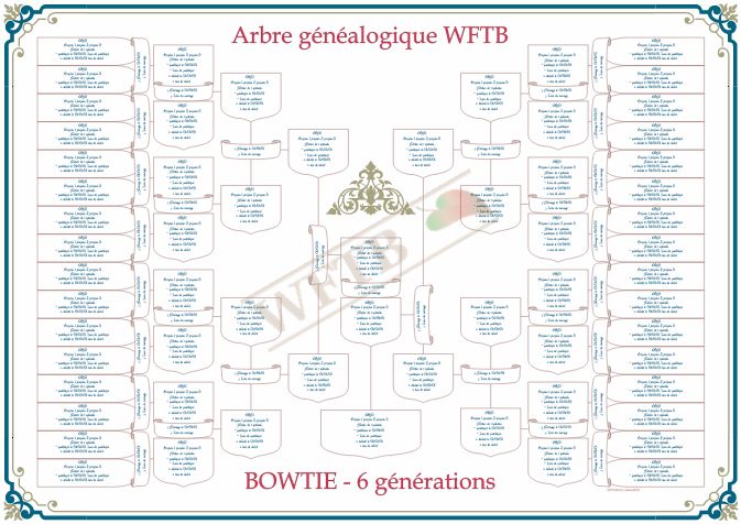 arbre-genealogique-bowtie-6-generations