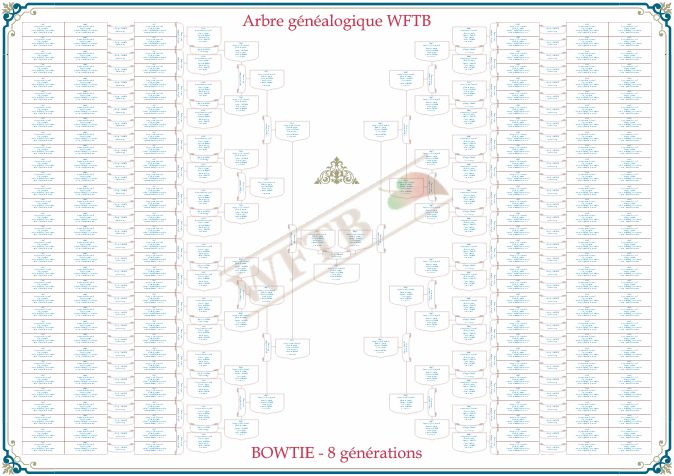 arbre-genealogique-bowtie-8-generations