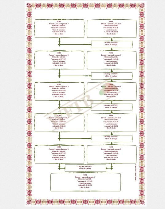 arbre-genealogique-cognatique-6-generations-personnalisé
