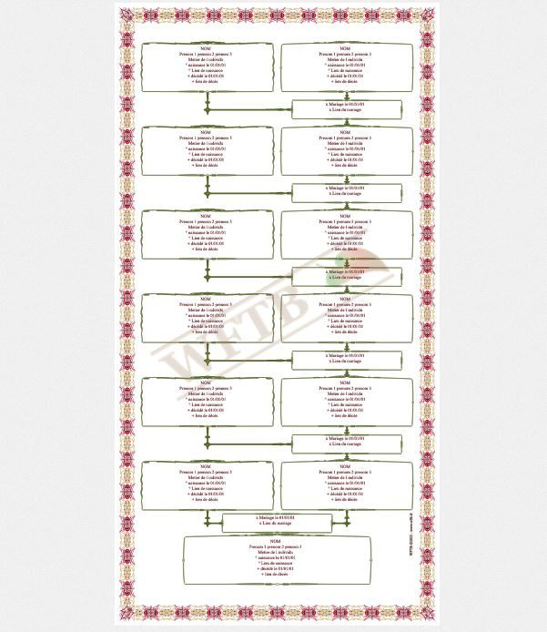 arbre-genealogique-cognatique-7-generations-personnalisé