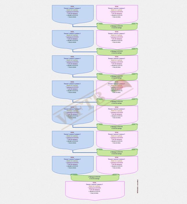 arbre-genealogique-cognatique-8-generations-blocs