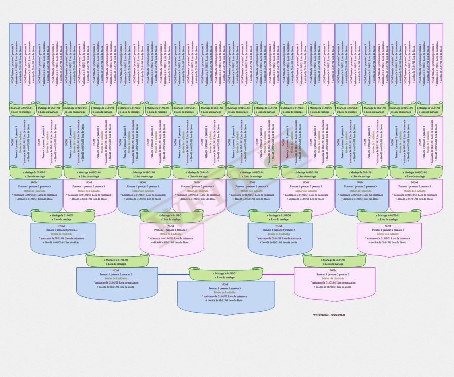 arbre-genealogique-slim-6-generations-blocs