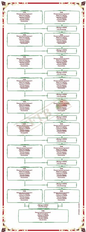 arbre-genealogique-cognatique-10-generations-porfolio-fr