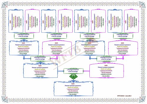 arbre-genealogique-slim-4-generations-porfolio-fr