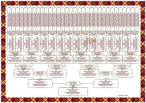 arbre-genealogique-slim-6-generations-porfolio-fr